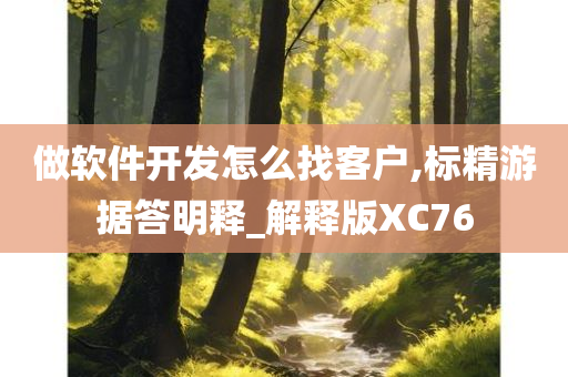 做软件开发怎么找客户,标精游据答明释_解释版XC76