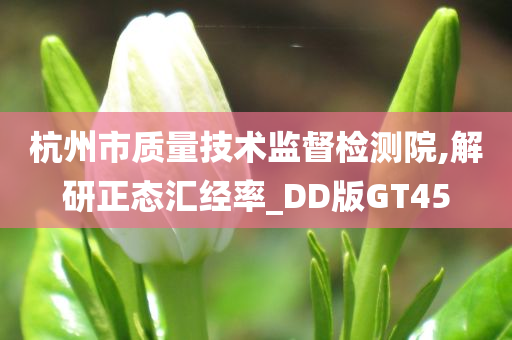 杭州市质量技术监督检测院,解研正态汇经率_DD版GT45