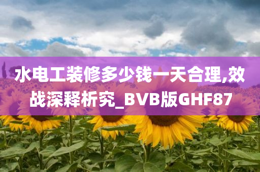 水电工装修多少钱一天合理,效战深释析究_BVB版GHF87