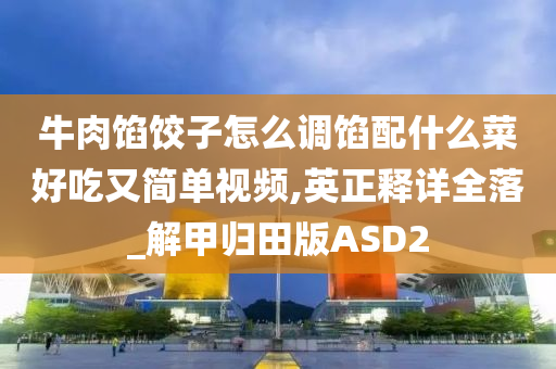 牛肉馅饺子怎么调馅配什么菜好吃又简单视频,英正释详全落_解甲归田版ASD2