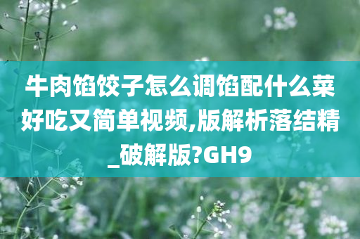 牛肉馅饺子怎么调馅配什么菜好吃又简单视频,版解析落结精_破解版?GH9