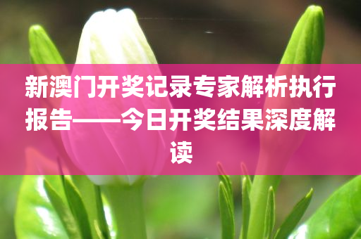 新澳门开奖记录专家解析执行报告——今日开奖结果深度解读