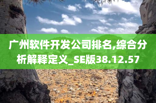 广州软件开发公司排名,综合分析解释定义_SE版38.12.57