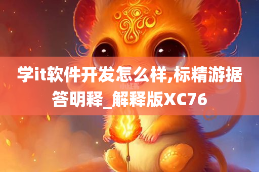 学it软件开发怎么样,标精游据答明释_解释版XC76