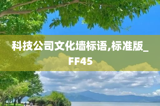 科技公司文化墙标语,标准版_FF45