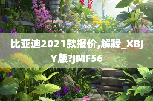 比亚迪2021款报价,解释_XBJY版?JMF56