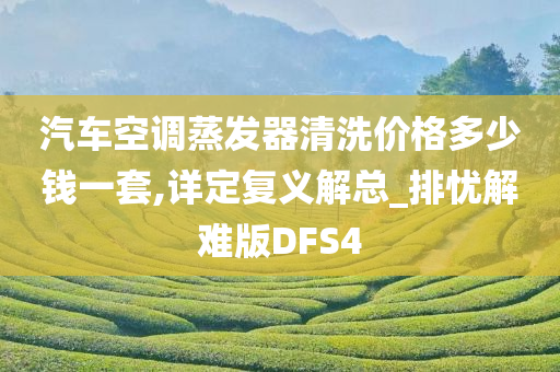 汽车空调蒸发器清洗价格多少钱一套,详定复义解总_排忧解难版DFS4