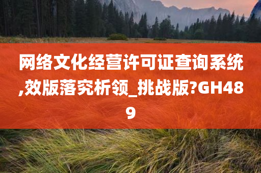 网络文化经营许可证查询系统,效版落究析领_挑战版?GH489