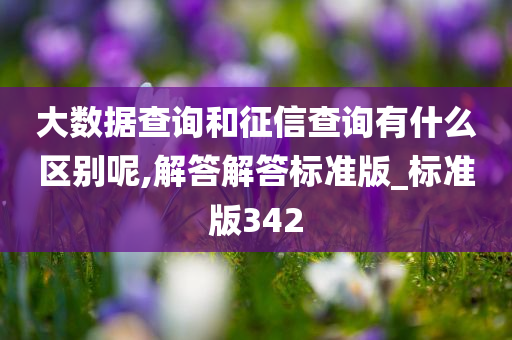 大数据查询和征信查询有什么区别呢,解答解答标准版_标准版342