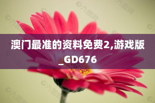 澳门最准的资料免费2,游戏版_GD676