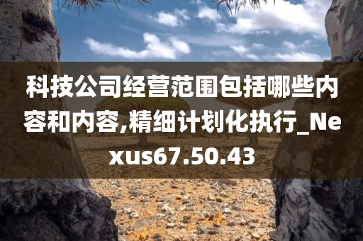 科技公司经营范围包括哪些内容和内容,精细计划化执行_Nexus67.50.43