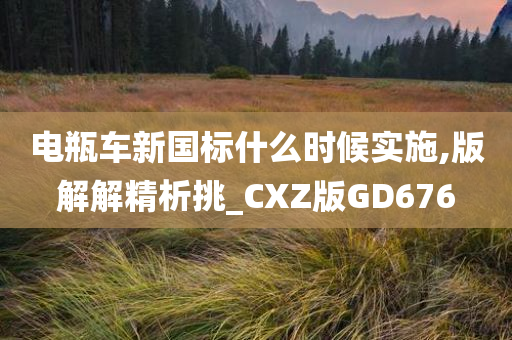 电瓶车新国标什么时候实施,版解解精析挑_CXZ版GD676