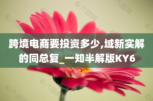 跨境电商要投资多少,域新实解的同总复_一知半解版KY6