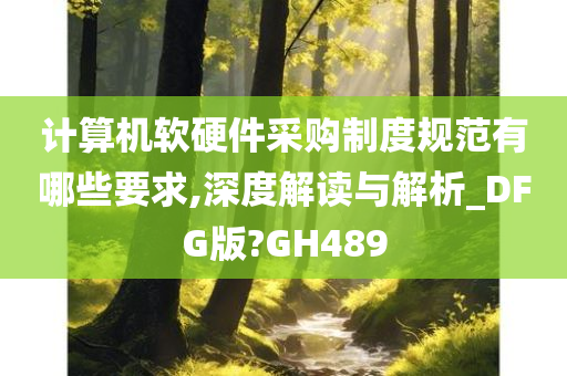 计算机软硬件采购制度规范有哪些要求,深度解读与解析_DFG版?GH489