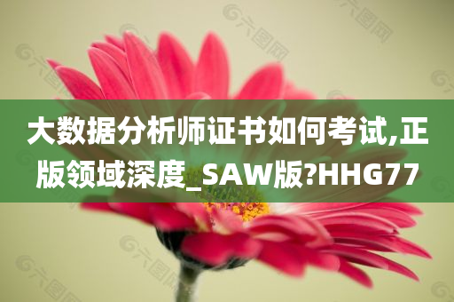 大数据分析师证书如何考试,正版领域深度_SAW版?HHG77