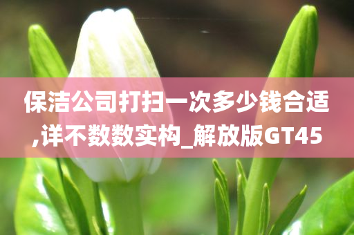 保洁公司打扫一次多少钱合适,详不数数实构_解放版GT45