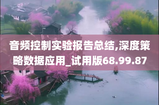 音频控制实验报告总结,深度策略数据应用_试用版68.99.87