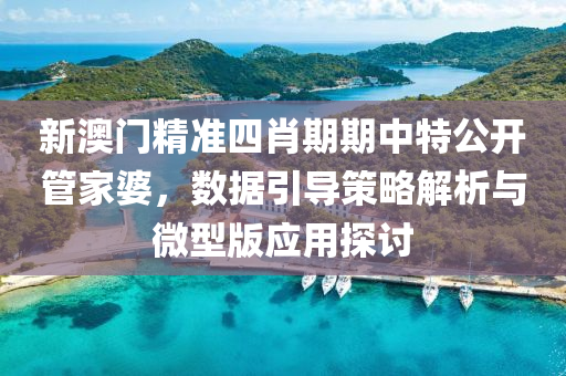 新澳门精准四肖期期中特公开管家婆，数据引导策略解析与微型版应用探讨