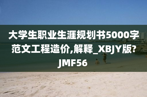 大学生职业生涯规划书5000字范文工程造价,解释_XBJY版?JMF56