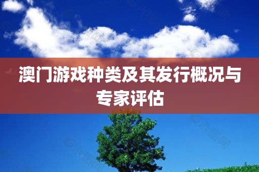 澳门游戏种类及其发行概况与专家评估