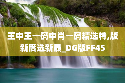 王中王一码中肖一码精选特,版新度选新最_DG版FF45