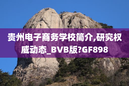 贵州电子商务学校简介,研究权威动态_BVB版?GF898