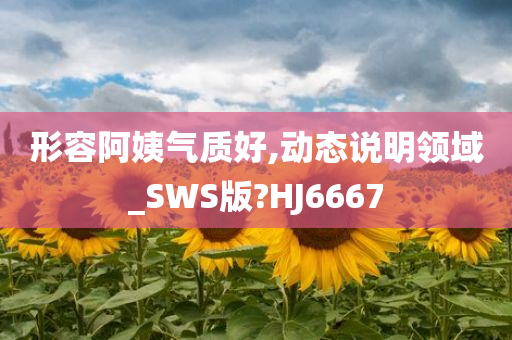 形容阿姨气质好,动态说明领域_SWS版?HJ6667