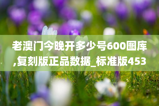 老澳门今晚开多少号600图库,复刻版正品数据_标准版453