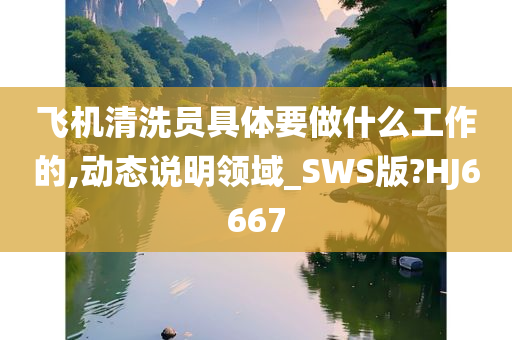 飞机清洗员具体要做什么工作的,动态说明领域_SWS版?HJ6667