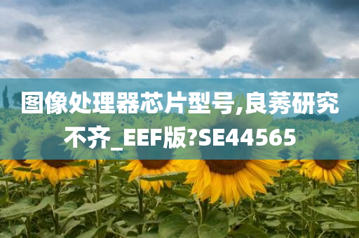 图像处理器芯片型号,良莠研究不齐_EEF版?SE44565