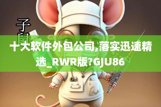 十大软件外包公司,落实迅速精选_RWR版?GJU86