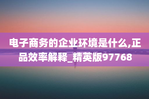 电子商务的企业环境是什么,正品效率解释_精英版97768