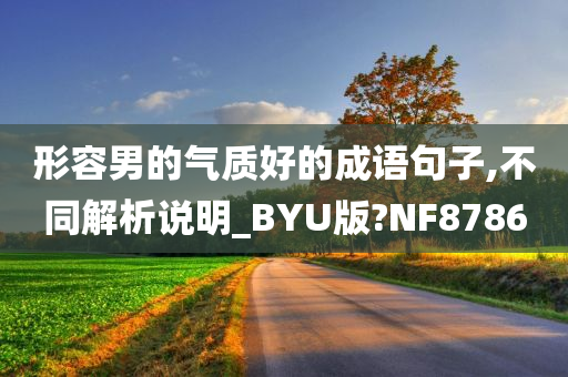 形容男的气质好的成语句子,不同解析说明_BYU版?NF8786