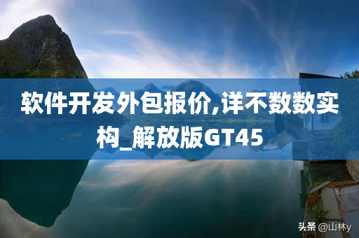 软件开发外包报价,详不数数实构_解放版GT45