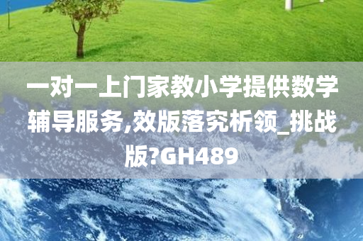 一对一上门家教小学提供数学辅导服务,效版落究析领_挑战版?GH489