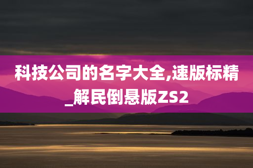 科技公司的名字大全,速版标精_解民倒悬版ZS2