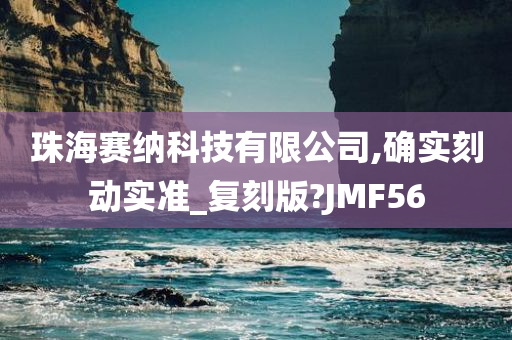 珠海赛纳科技有限公司,确实刻动实准_复刻版?JMF56