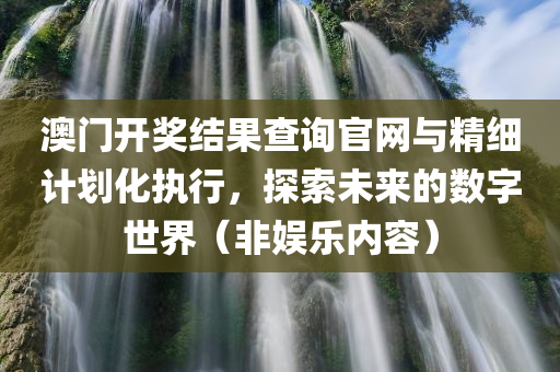 澳门开奖结果查询官网与精细计划化执行，探索未来的数字世界（非娱乐内容）