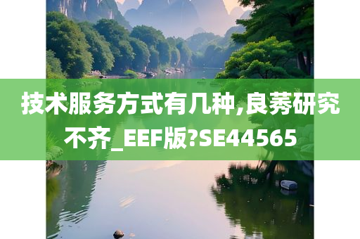 技术服务方式有几种,良莠研究不齐_EEF版?SE44565