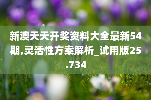 新澳天天开奖资料大全最新54期,灵活性方案解析_试用版25.734