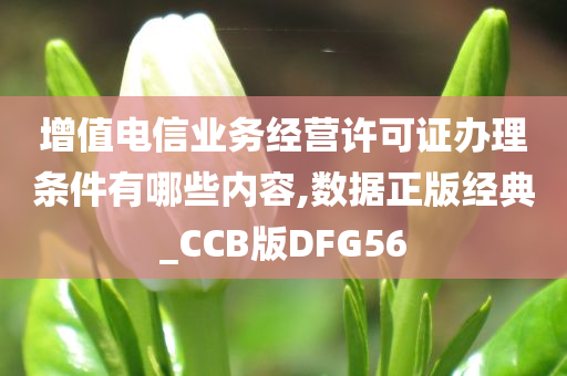 增值电信业务经营许可证办理条件有哪些内容,数据正版经典_CCB版DFG56