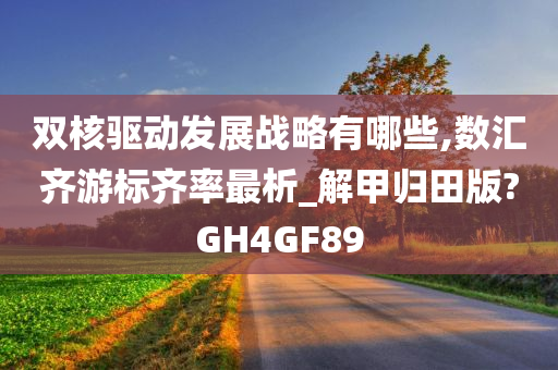 双核驱动发展战略有哪些,数汇齐游标齐率最析_解甲归田版?GH4GF89