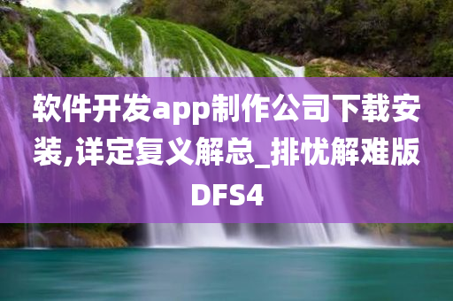 软件开发app制作公司下载安装,详定复义解总_排忧解难版DFS4