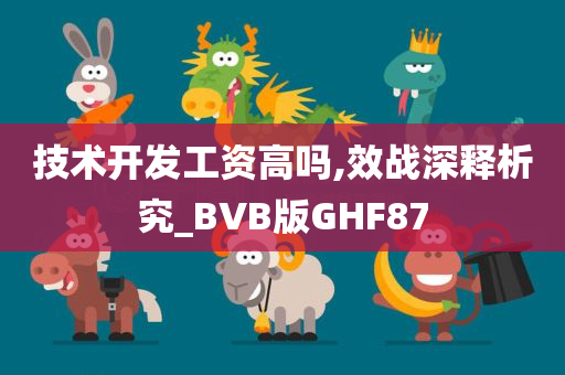 技术开发工资高吗,效战深释析究_BVB版GHF87