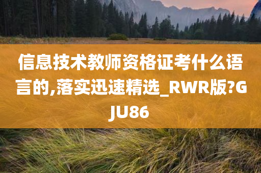 信息技术教师资格证考什么语言的,落实迅速精选_RWR版?GJU86