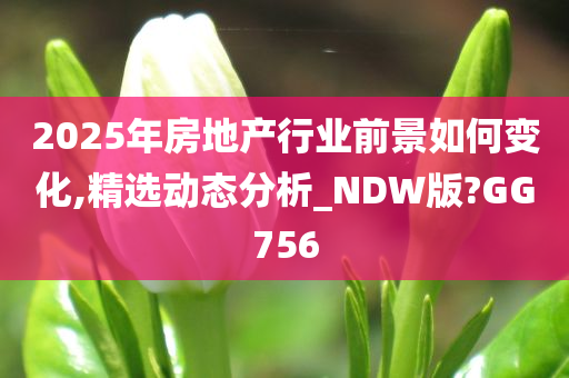 2025年房地产行业前景如何变化,精选动态分析_NDW版?GG756