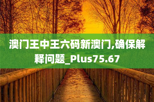 澳门王中王六码新澳门,确保解释问题_Plus75.67