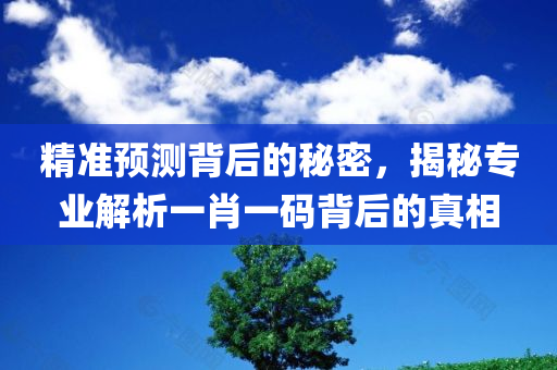 精准预测背后的秘密，揭秘专业解析一肖一码背后的真相