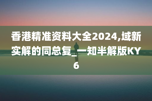 香港精准资料大全2024,域新实解的同总复_一知半解版KY6