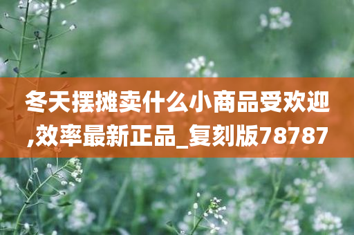 冬天摆摊卖什么小商品受欢迎,效率最新正品_复刻版78787